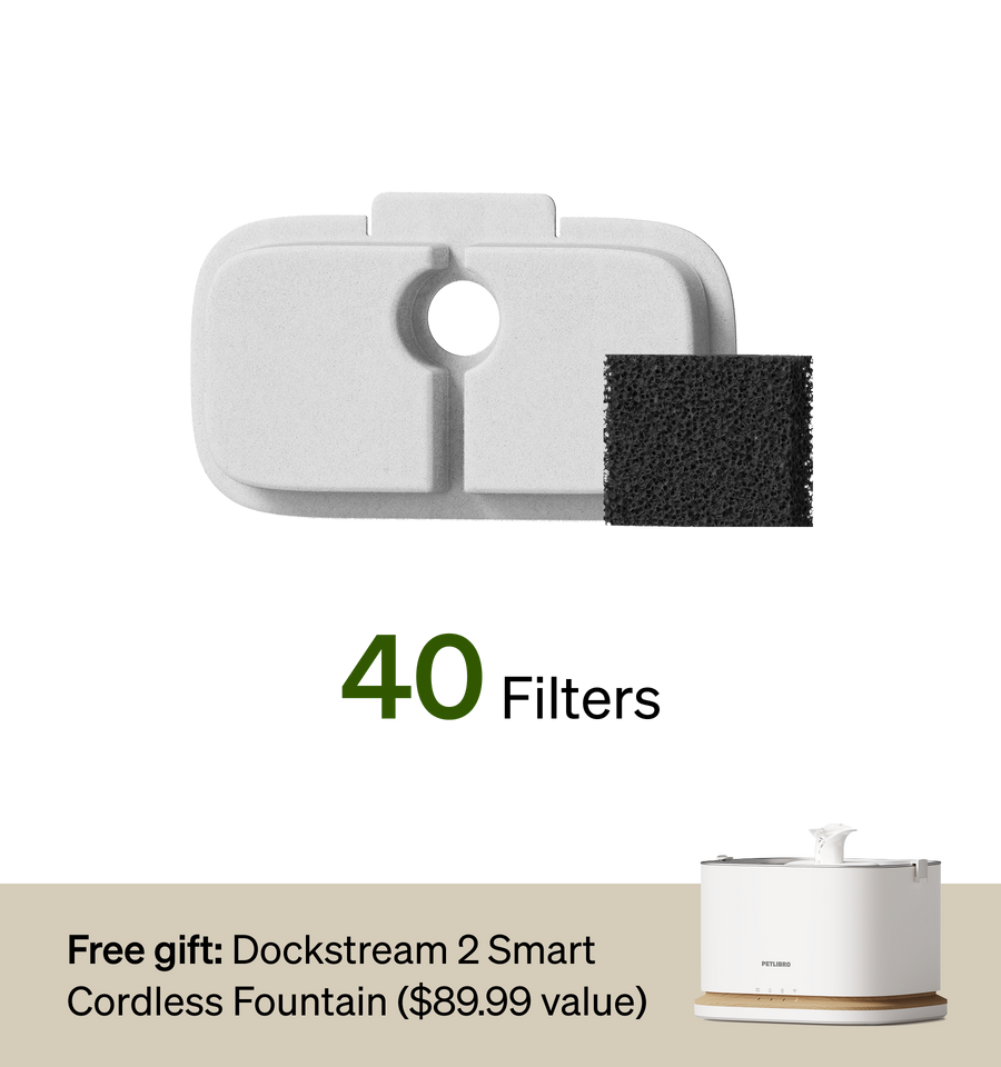 18-Month Filter & Free Fountain Combo